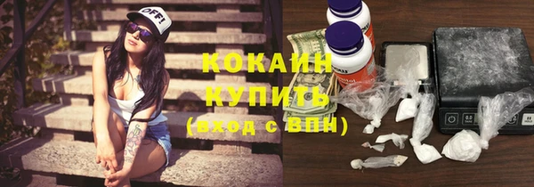 прущие крисы Алзамай