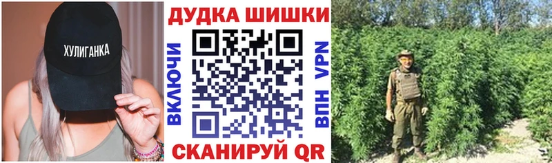 Шишки марихуана планчик  наркошоп  Кудрово 